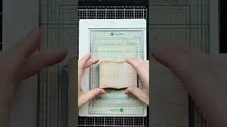 Open Book Die January Release 2025 #waffleflowercrafts #diecutting  #cardmakingtechnique