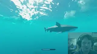 Review zu Stranded Deep Experimenteller Patch 0.45.04