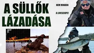 A süllők lázadása - avagy nem minden a livescope!