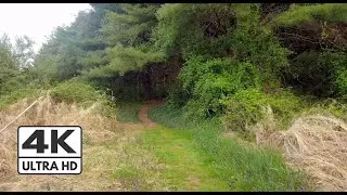 Clinton, NJ - Woods Hiking at Spruce Run Recreation Area - 4K