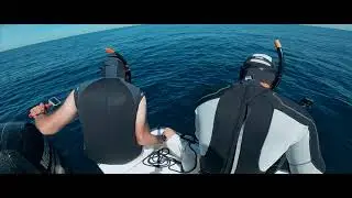 Film Mer IWF 2020