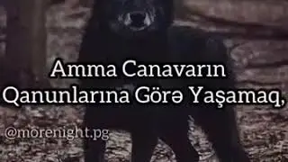 Menim qanunlarima uymaq haminin basi ucun deyil!
