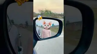 Ye Cat kha ja rahi h bar bar #funny #shortsfeed #comedyfilms #cutebaby #viralvideo
