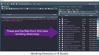2 Set Working Directory R Studio