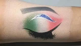 Tiranga Eye Makeup for Independence Day |  eyeshadow practice on hand | eyeshadow for 15 august#267