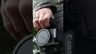 What Size Are They? Canon 6D vs Canon 77D