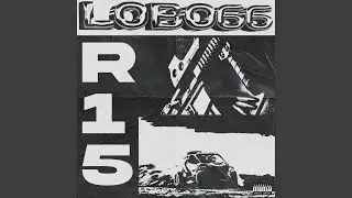 R15