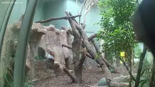Kontynuacja po tym ja kupiłem papierosy w kiosku Zoo Frankfurt