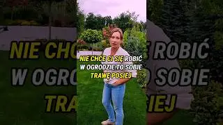 Nie chce Ci się robić w ogrodzie? POSIEJ TRAWĘ! #ogr&oacute;d #poradyogrodnicze #trawnik #trawa #siew