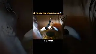 😲 Unsolved Mystery Of The Hum 😱 |#shorts#ytshorts