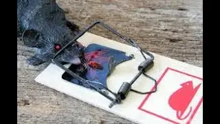 simple mechanism