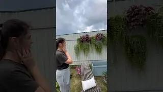 Наводим красоту в зоне отдыха!  Развесили растения, покосили траву ,поехали за пропиткой для мебели
