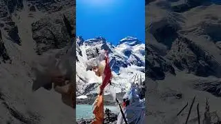 ॐ नमः शिवाय 🚩#adikailash#kailashparvat#