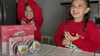 Delilah and Mia build a GINGERBREAD HOUSE + MINI MYSTERY UNBOXING !