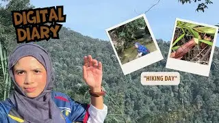 Digital diary: Hiking Day