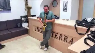 Alfonso Deidda bocchino sax alto Lebayle camera LR in ebano - Inghilterra strumenti musicali