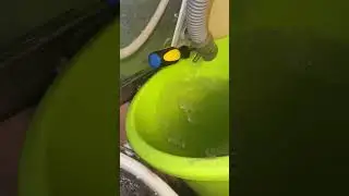 Washer Machine leaking water inside @ Tuah that lai aw.