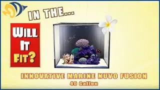 Will It Fit? - Innovative Marine NUVO Fusion Mini 40 Gallon Aquarium