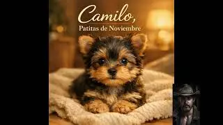 🎵 Camilo, Patitas de Noviembre