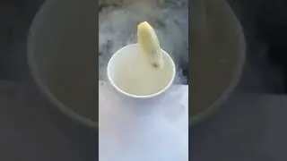 Banana Frozen in Liquid Nitrogen!  #science