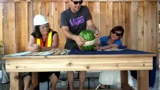 How many rubber bands does it take to cut a watermelon in half?