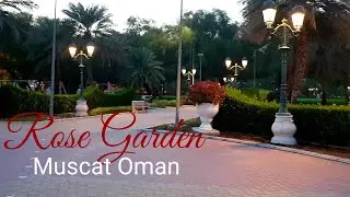 OMAN  ROSE GARDEN 🌹