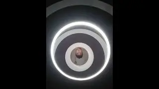 Таллин 2019