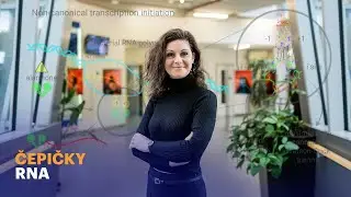 V&yacute;zkum z &Uacute;OCHB odhaluje dosud nepoznan&yacute; způsob přepisu genetick&eacute; informace