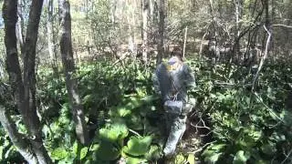 Helmend V- Newington Airsoft Team