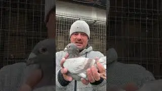 4 bunici celebri la maraton !!!