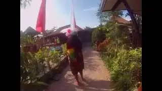 Thai
