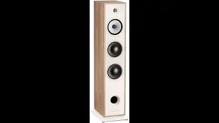 Triangle BR08 floor speakers cinema/music Review - Pros & Cons - Triangle Borea BR08