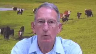 Methods of Animal Identification