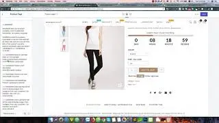 Gecko Shopify Theme - Product video