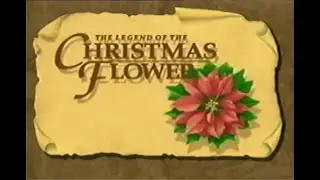 The Legend of The Christmas Flower