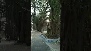 Famous shooting location for many movies || Muthalamada ||മുതലമട #hridayam #vettam #kerala #shorts