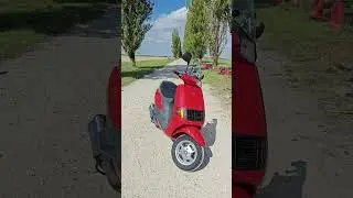 Piaggio Skipper Skr Quartz 172 Malossi (SM06 exhaust & Sfera RST 125 rims) - Faco small windscreen