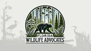Florida Wildlife Advocates - Episode 6 with Clay Henderson