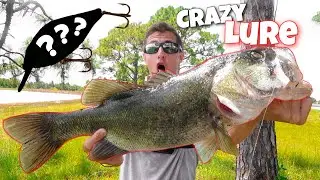 CRAZY Fishing Lure Challenge!