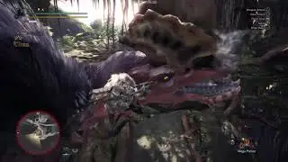 Monster Hunter World Iceborne Beta World First Master Rank Anjanath Hunt