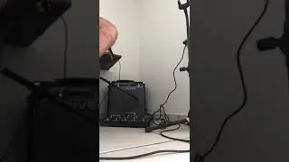 Test Rivera Pubster & Fractal FX8