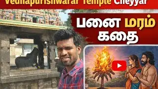 Vedhapurishwarar Temple panaimaram Cheyyar Sivan temple