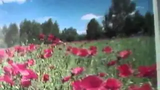 Pieśń o Monte Casino  autor A.SUITO  gra Łąpieś