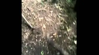 Trick stick