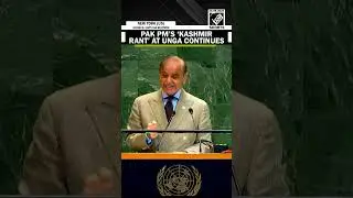 &lsquo;Tyranny in Kashmir&rsquo;: Pakistan PM Shehbaz Sharif rants against India over Kashmir at UNGA