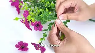 Troubleshooting issues related to violet plant leaf drop.
