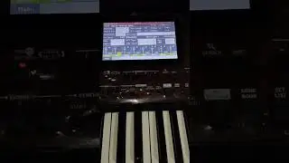 full isian style korg pa600 700