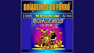Pout Pourrit / Tico-Tico No Fubá - Ao Vivo (AO VIVO)