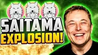 What Is Saitama Inu and How Does Saitamask Work &ndash; Ecosystem Explained