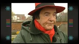 Eddy Wally Superstaar - Hugo Claus